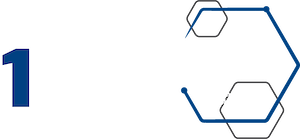 1 Solutions Group